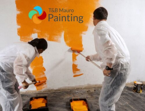 Expert Painting for Stunning Properties